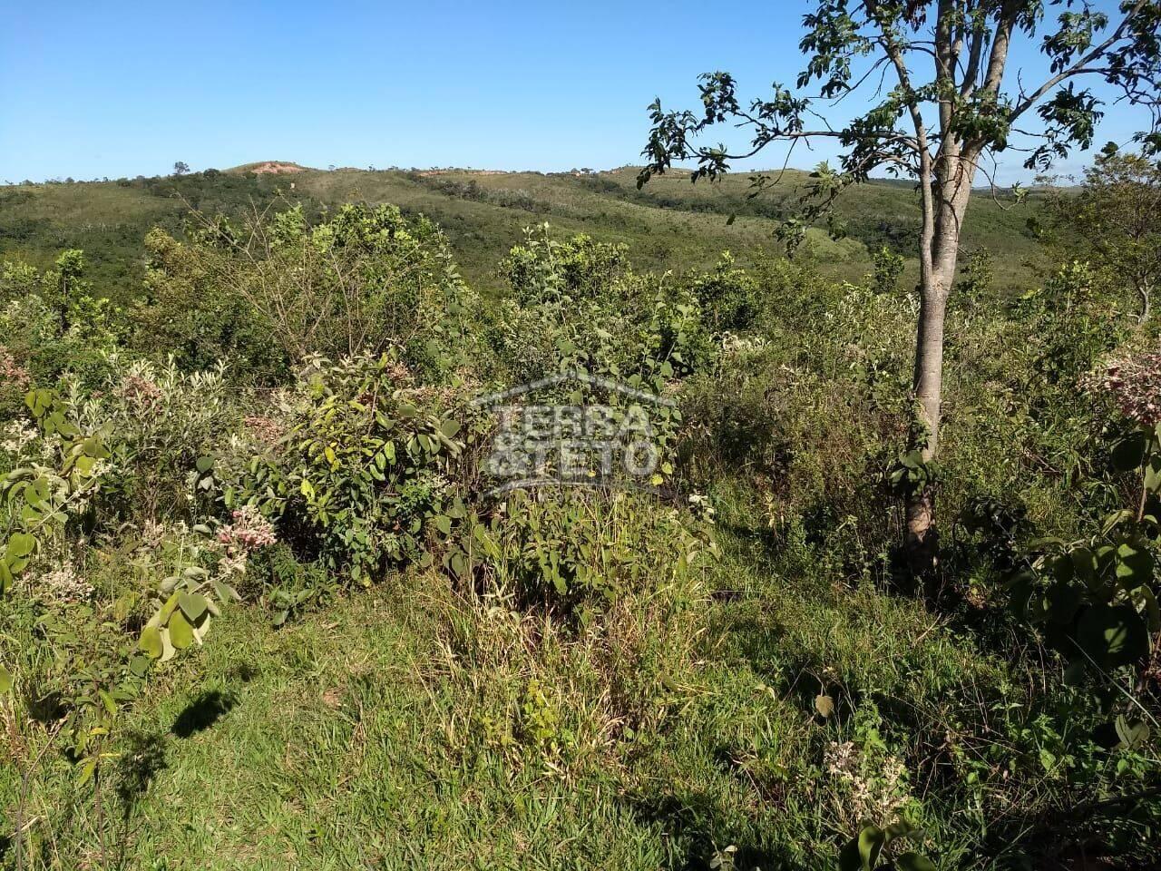 Fazenda Área Rural de Patos de Minas, Patos de Minas - MG