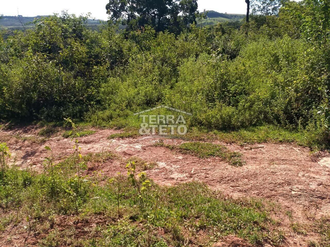 Fazenda Área Rural de Patos de Minas, Patos de Minas - MG