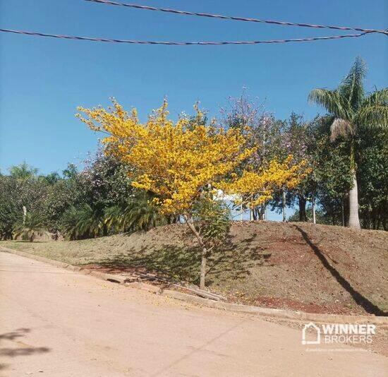 Ivailandia - Engenheiro Beltrão - PR, Engenheiro Beltrão - PR