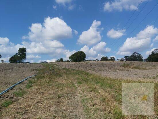 Contenda - São José dos Pinhais - PR, São José dos Pinhais - PR