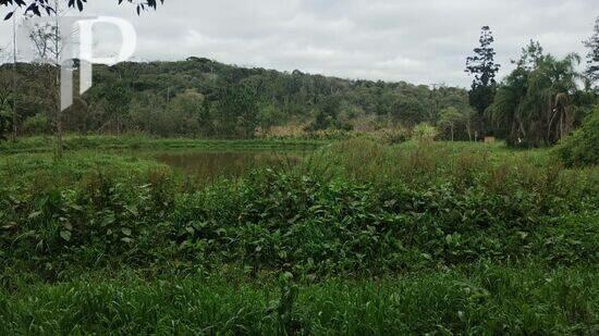 Vila Conceição - Campo Largo - PR, Campo Largo - PR