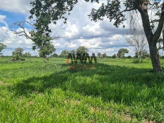 Fazenda Zona Rural, Cocalinho - MT