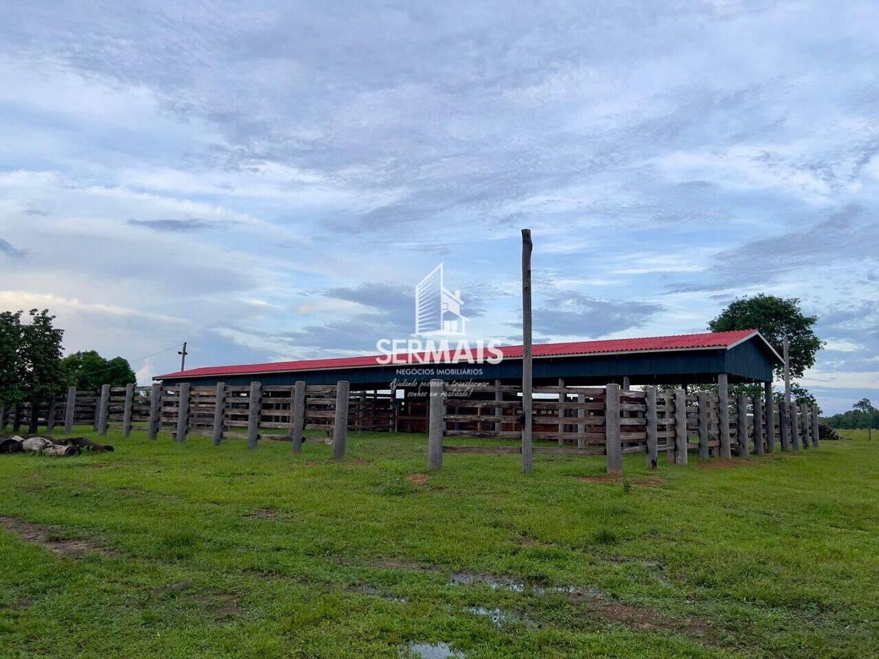 Fazenda Zona Rural, Porto Velho - RO