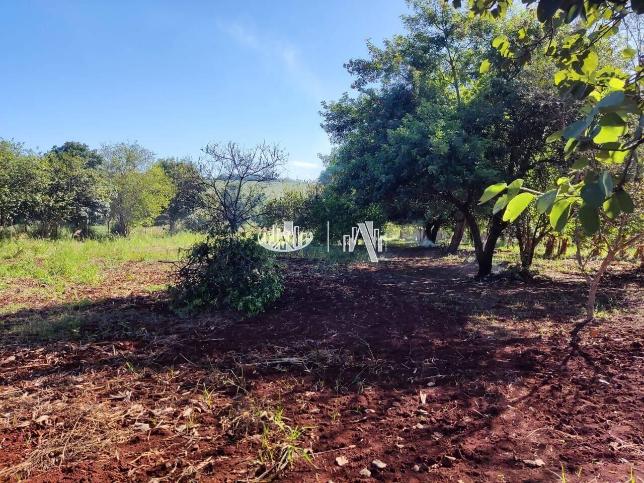 Chácara Fazenda Nata, Londrina - PR