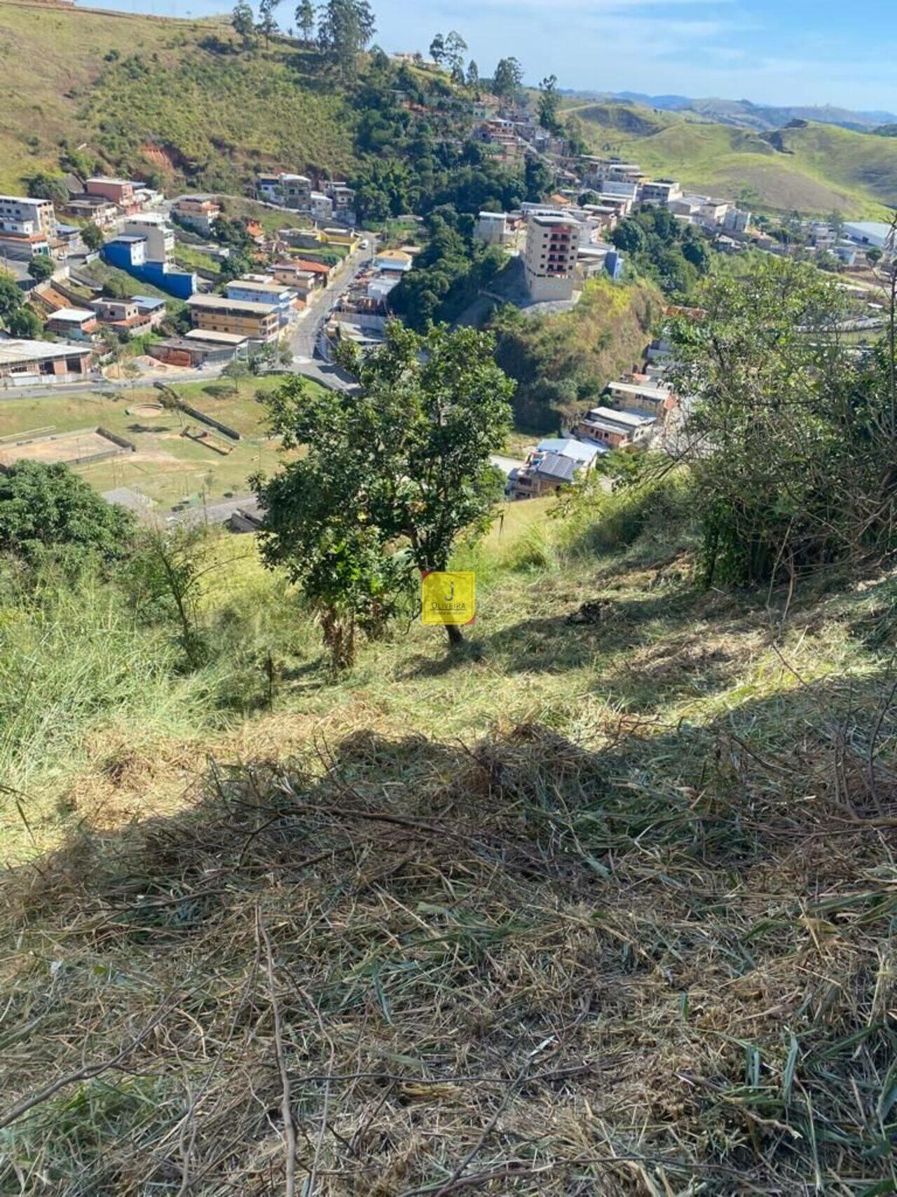 Terreno Nova Benfica, Juiz de Fora - MG