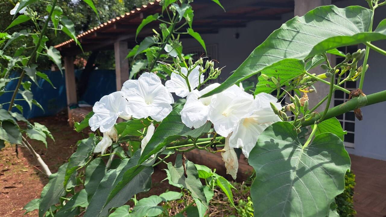 Casa Região dos Lagos, Sobradinho - DF