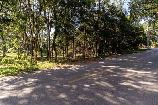 Terreno Borda Do Campo, São José dos Pinhais - PR