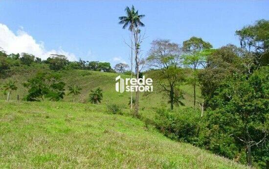 Sítio de 16 hectares Piau - Piau, à venda por R$ 260.000