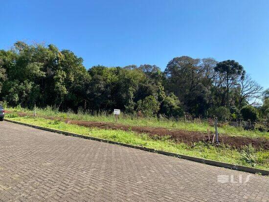 Terreno de 303 m² Travessão - Dois Irmãos, à venda por R$ 181.000