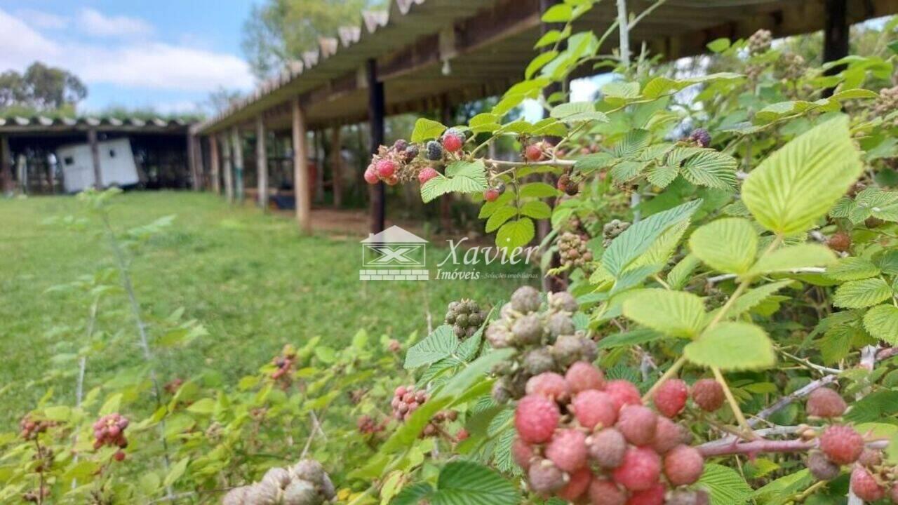 Terreno Recreio Residencial, Ibiúna - SP