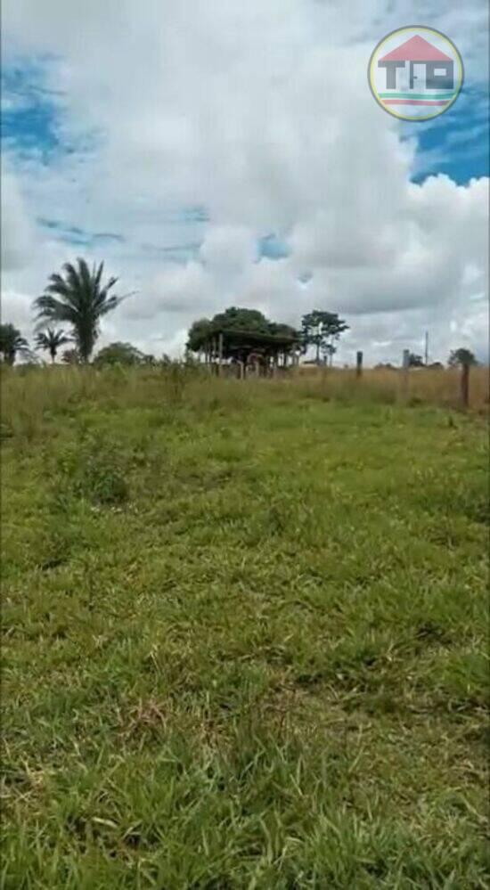 Zona Rural - São Domingos do Araguaia - PA, São Domingos do Araguaia - PA