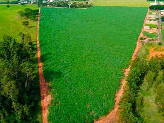 Zona Rural - Olímpia - SP, Olímpia - SP