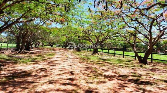 Zona Rural - Boa Esperança do Sul - SP, Boa Esperança do Sul - SP