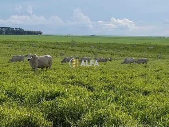 Área Rural de Uberlândia - Uberlândia - MG, Uberlândia - MG