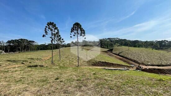 Terreno Centro, Campo Alegre - SC