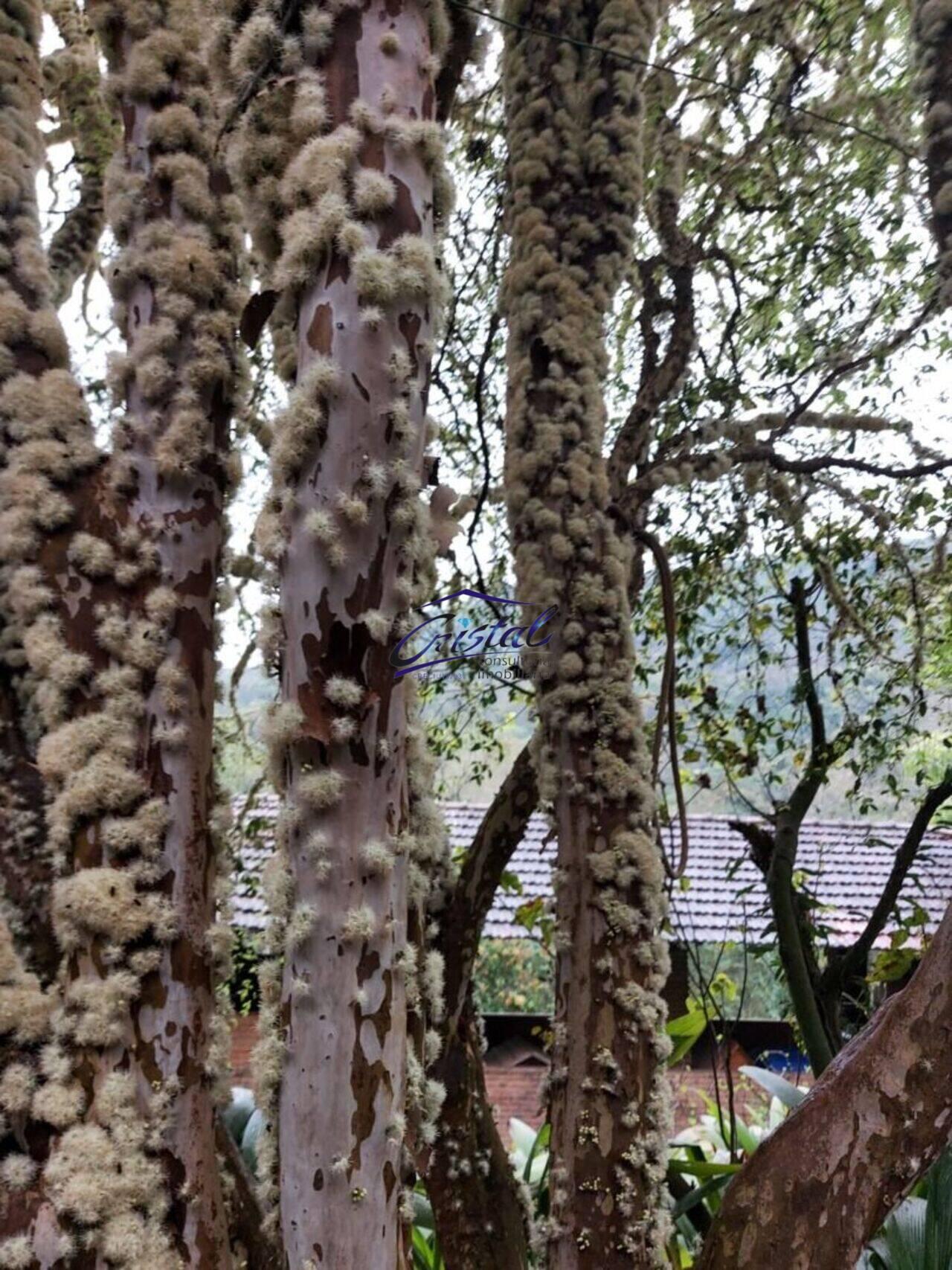 Chácara Serra da Cantareira, Mairiporã - SP