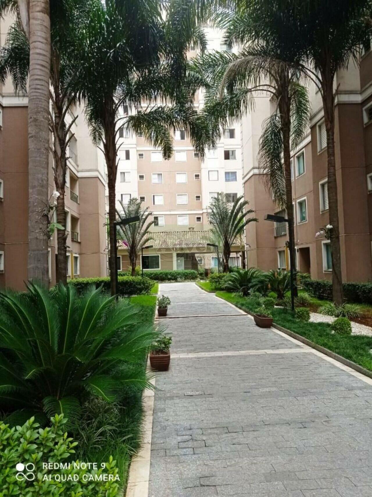 Apartamento Jardim Santa Teresinha, São Paulo - SP