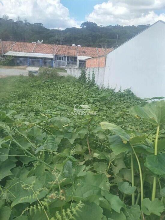 Terreno Jardim Diamante, Campina Grande do Sul - PR