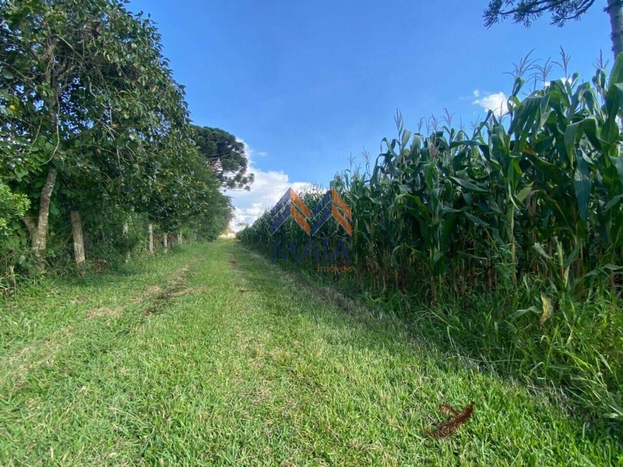 Área Colônia Murici, São José dos Pinhais - PR