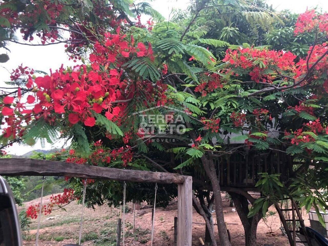 Fazenda Zona Rural, Patos de Minas - MG