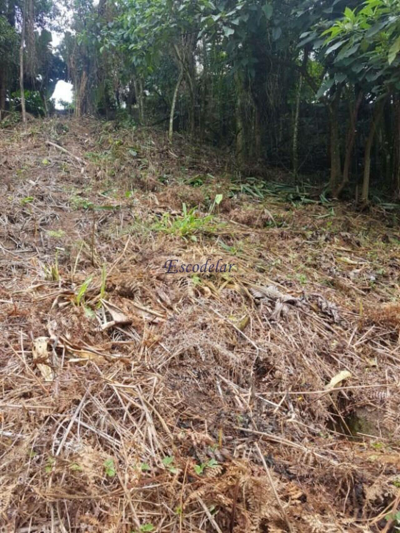 Terreno Centro, Mairiporã - SP