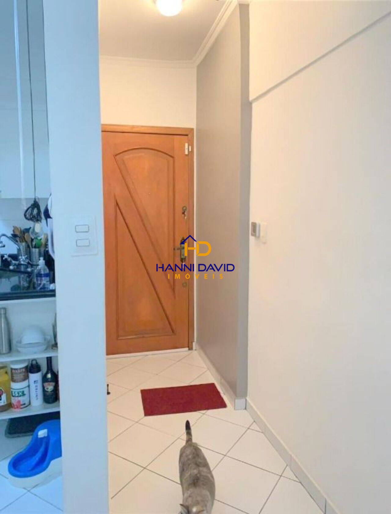 Apartamento Vila Mariana, São Paulo - SP