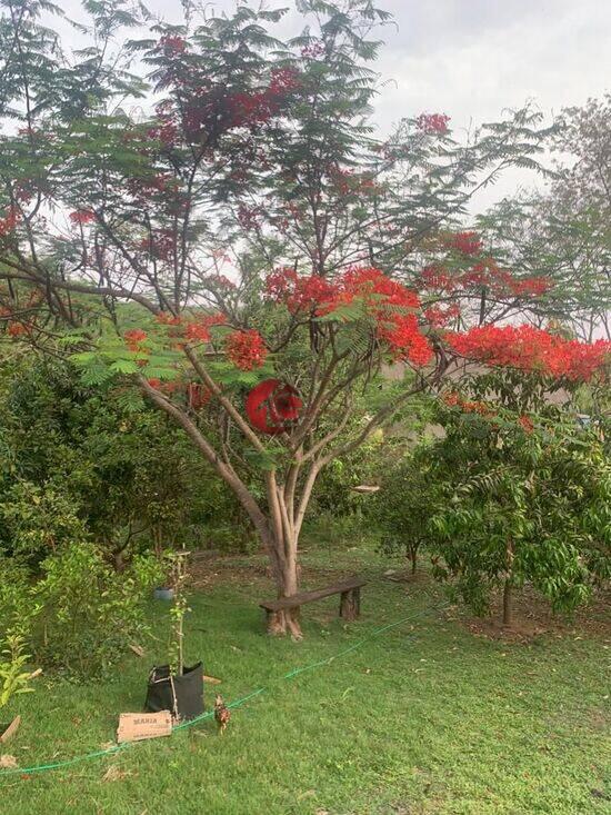 Chácara Capim Branco, Uberlândia - MG