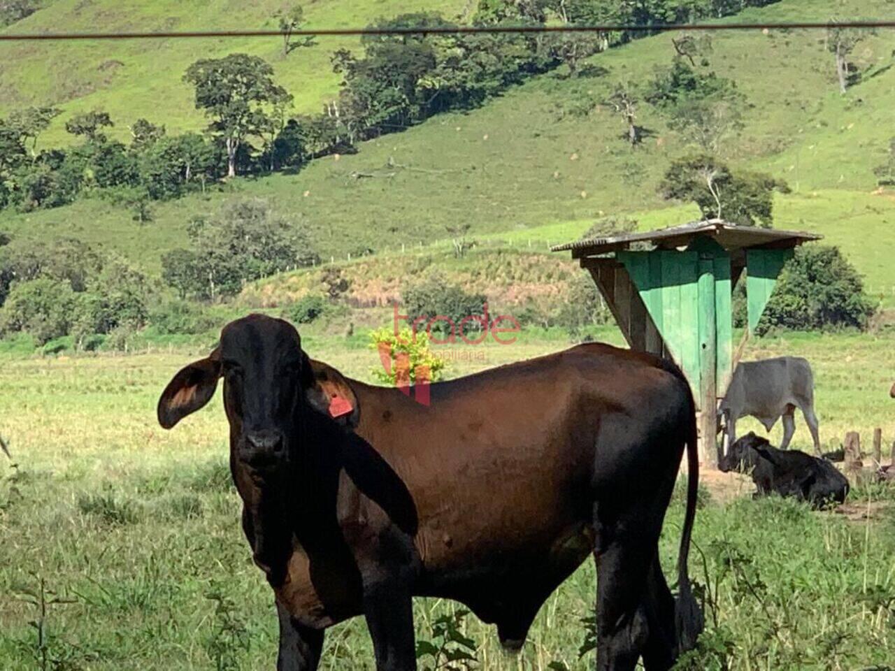 Fazenda Castanheiras, Belo Horizonte - MG