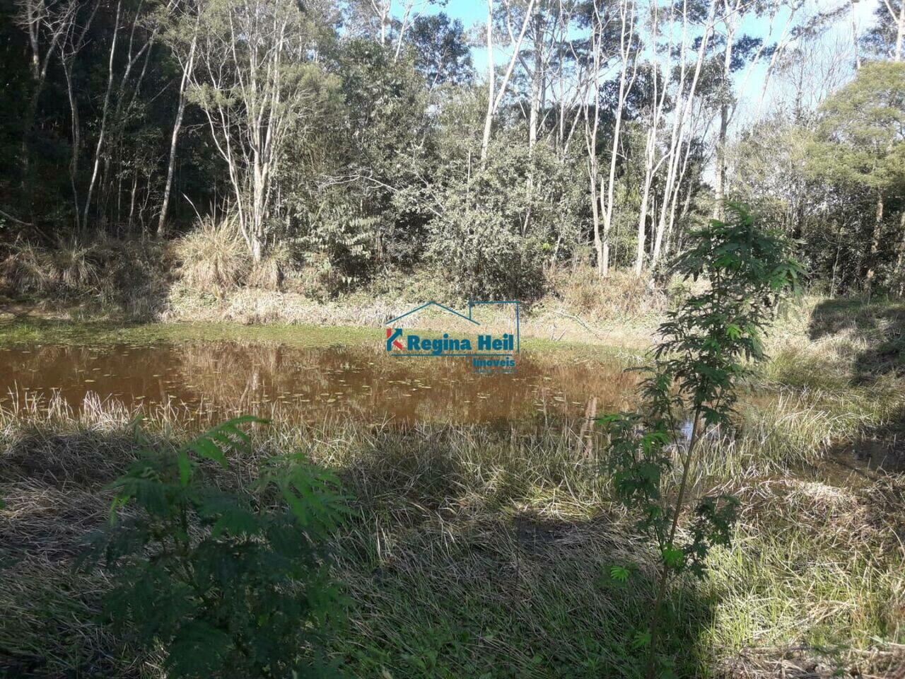 Chácara Colônia Murici, São José dos Pinhais - PR