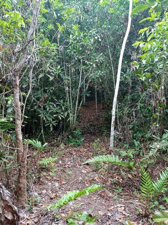 Chácara Zona Rural Hidrolandia, Hidrolândia - GO