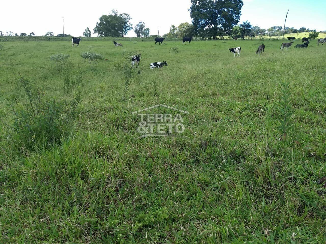 Fazenda Área Rural de Patos de Minas, Patos de Minas - MG