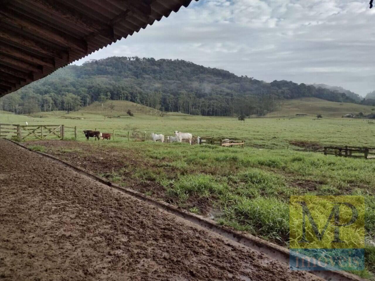 Fazenda Rio do Peixe, Luiz Alves - SC