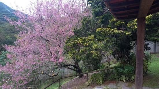 Fazenda Inglesa - Petrópolis - RJ, Petrópolis - RJ