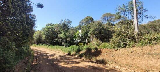 Area Rural - São José dos Pinhais - PR, São José dos Pinhais - PR