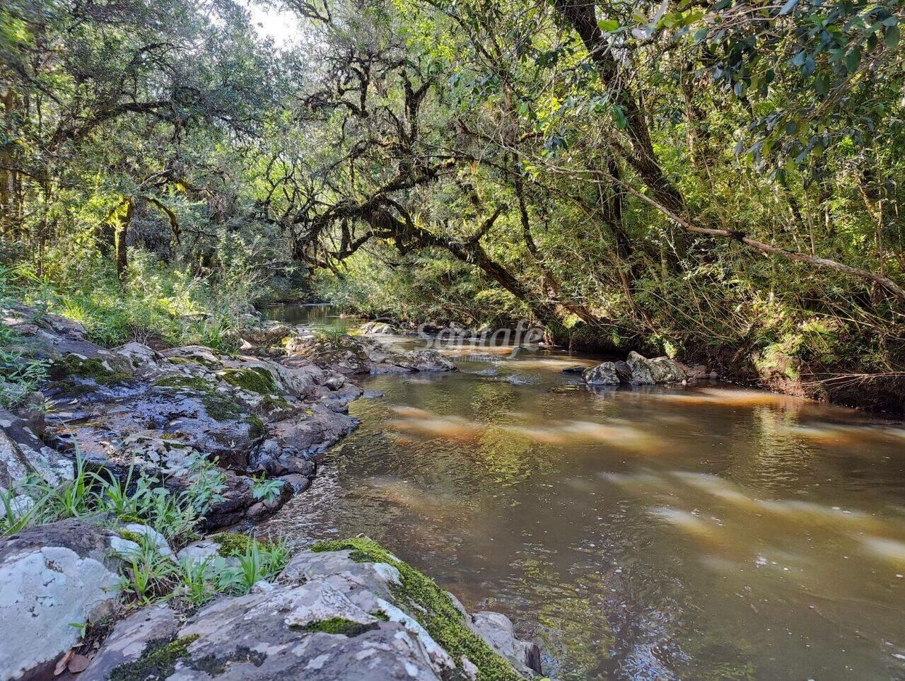 Chácara Área Rural de Caçador, Caçador - SC