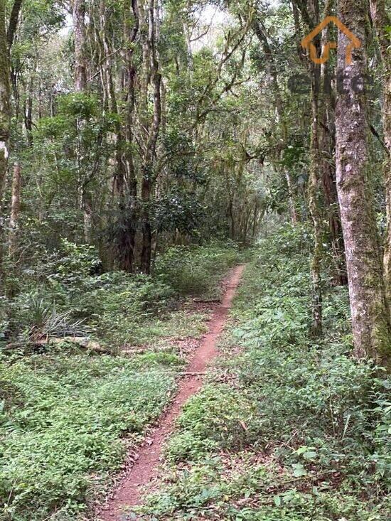 Área Rural de Campo Largo - Campo Largo - PR, Campo Largo - PR