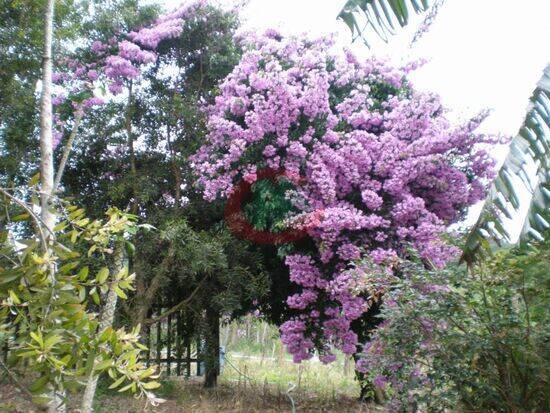 Piedade - Piedade - SP, Piedade - SP