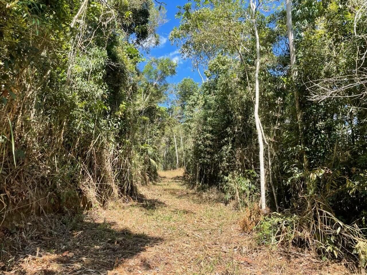 Terreno Brejal, Petrópolis - RJ