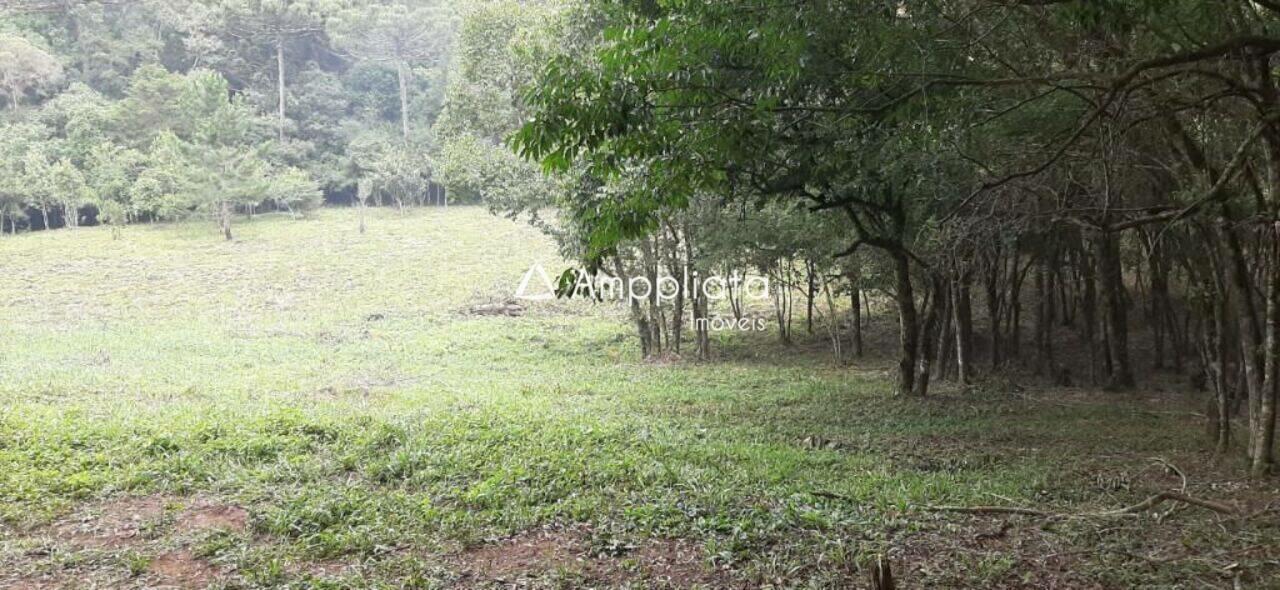 Chácara Chácaras Olhos D´água, Campina Grande do Sul - PR