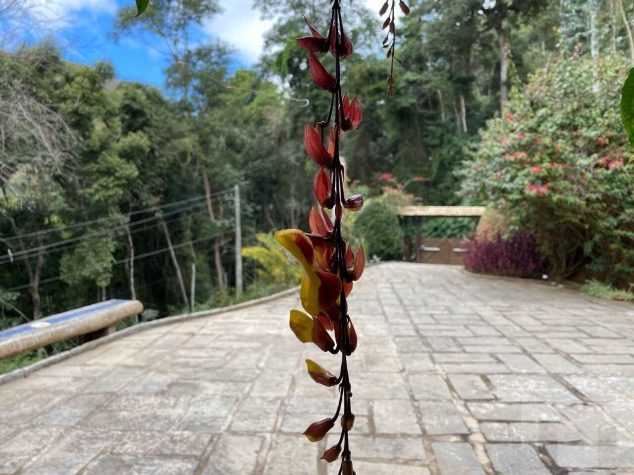 Casa Corrêas, Petrópolis - RJ