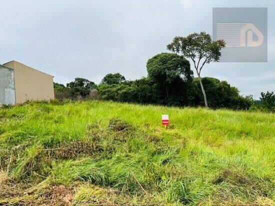 Estrela - Ponta Grossa - PR, Ponta Grossa - PR