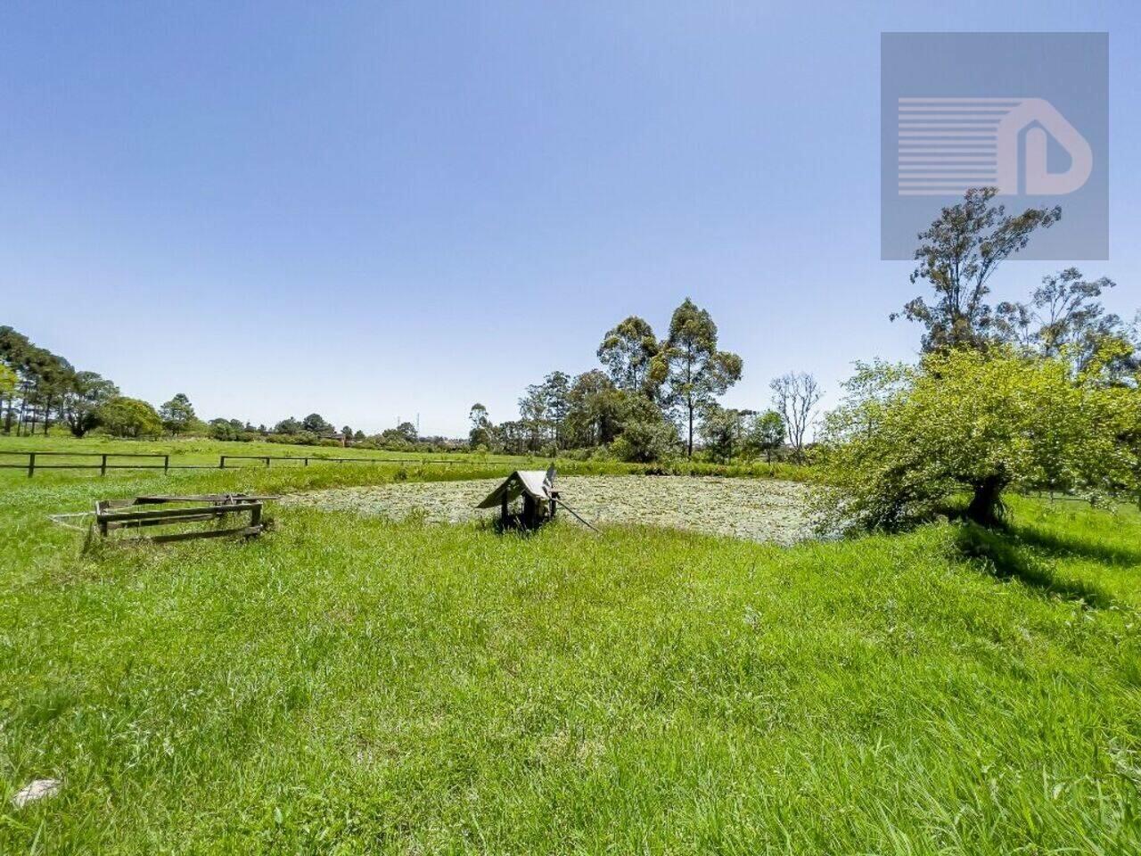 Haras Colônia Murici, São José dos Pinhais - PR