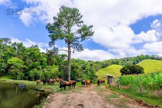 Progresso - Blumenau - SC, Blumenau - SC