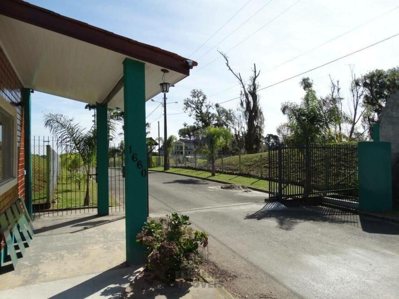 Terreno Borda Do Campo, São José dos Pinhais - PR