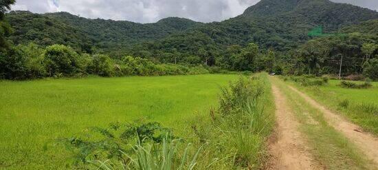 Tagaçaba de Baixo - Guaraqueçaba - PR, Guaraqueçaba - PR