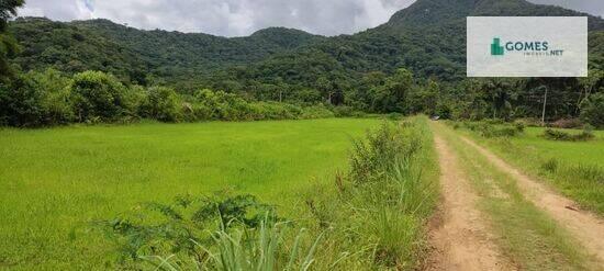 Tagaçaba de Baixo - Guaraqueçaba - PR, Guaraqueçaba - PR