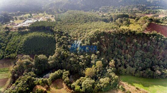 Área Boichininga, Almirante Tamandaré - PR