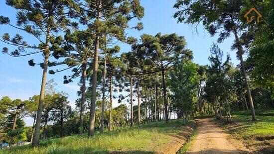 Guajuvira - Araucária - PR, Araucária - PR