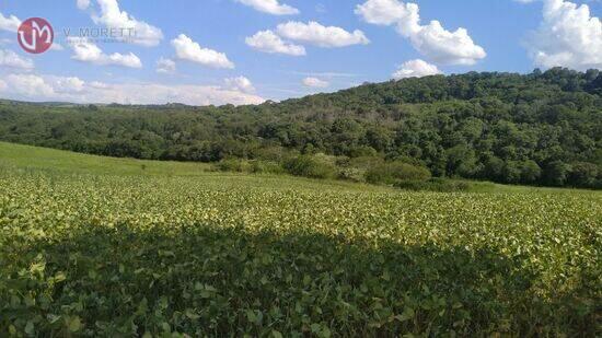 Fazenda Area Rural, Nova Laranjeiras - PR