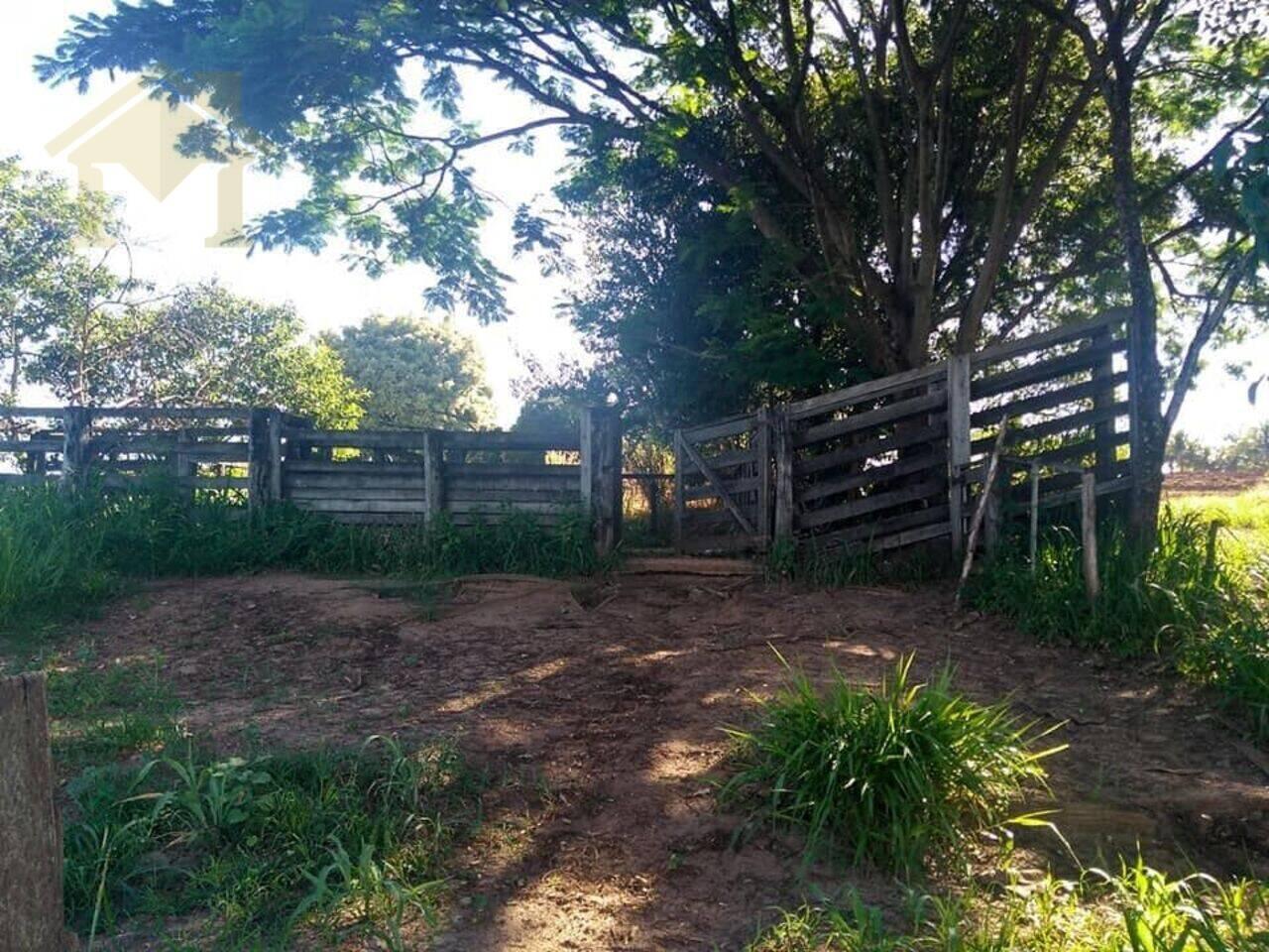 Sítio Zona Rural, Olímpia - SP